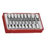 HYLSBITSSATS TENG TOOLS 1/2" 18 DELAR TTTX18