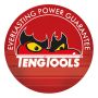 NITTÅNGSATS TENG TOOLS 81 DELAR TTHR81